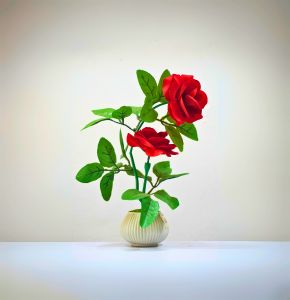 ৩ ফুল ও ২ ফুলের গোলাপ – 10 ইঞ্চি ও 12 ইঞ্চি লাল গোলাপ